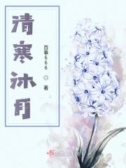 沐月清风