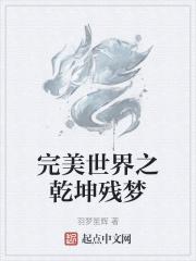 完美世界之武