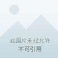我老婆最近总是找我麻烦