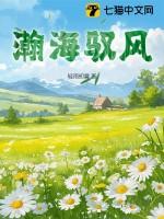瀚海指代什么