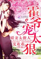 重生娇妻霍爷宠妻忙