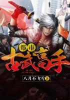 古武高手闯都市
